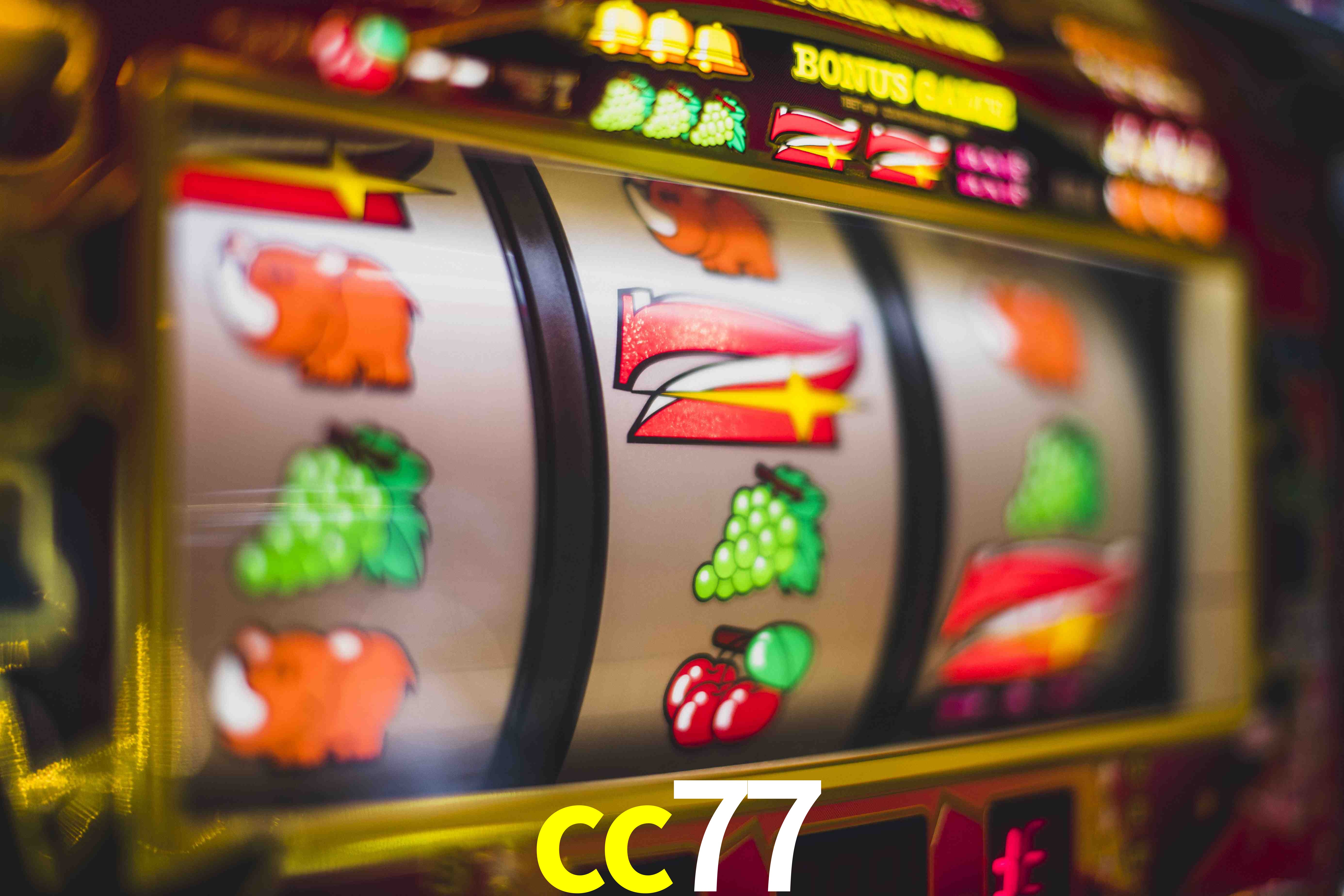 Football Betting cc77